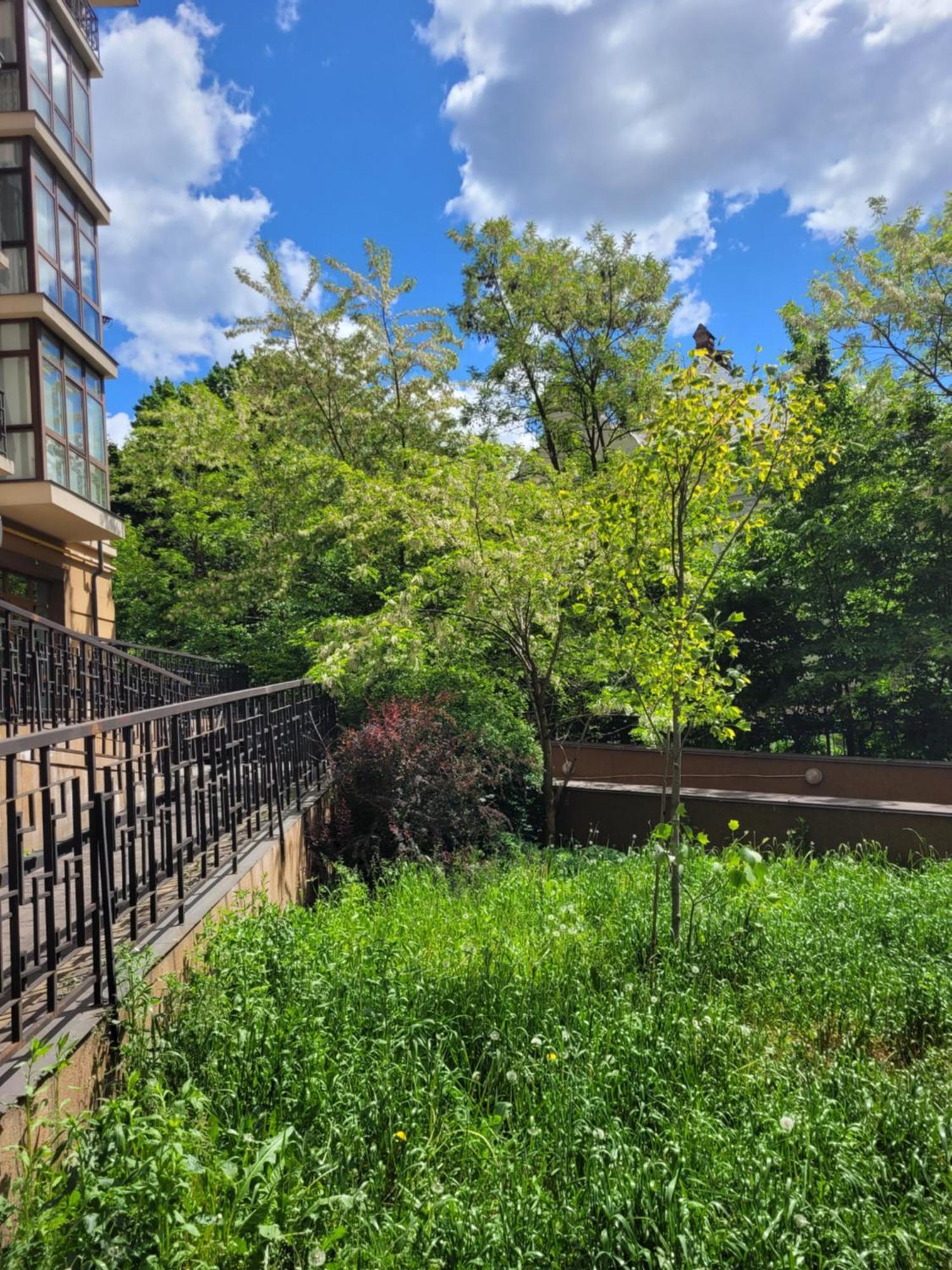 Центр, Біля Медичного Університету, Вулиця Личаківська Lviv Exterior photo